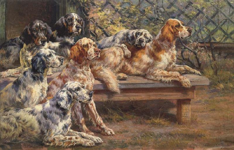 Seven English Setters, Osthaus, Edmund Henry